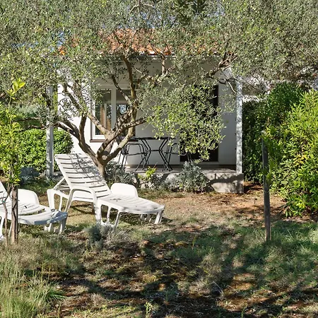 Vesela-1 By Interhome *